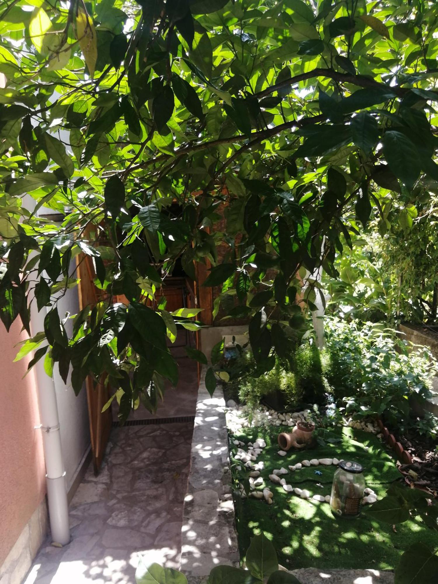 Ninic Family Apartments Tivat Ngoại thất bức ảnh